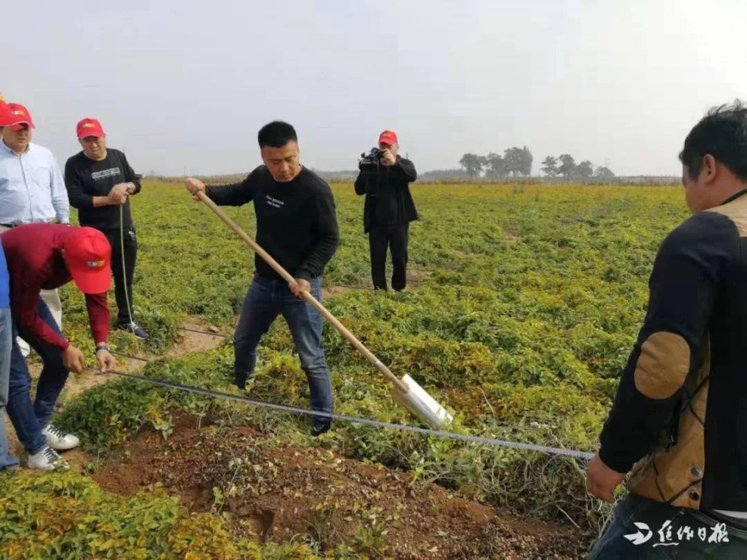 焦作上市，城市发展与友情的温馨日常