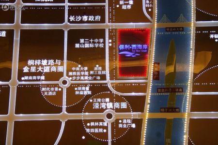 长沙保利天禧开盘行情详解，购房者必备攻略
