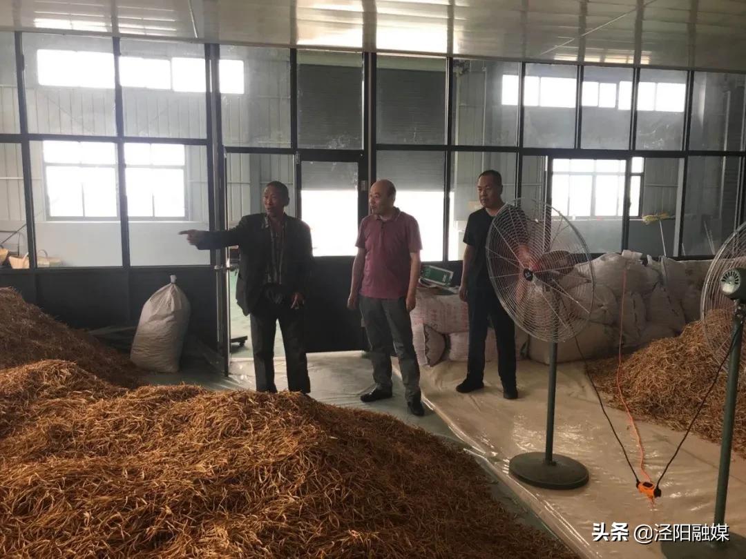 泾阳最新住宅价格概览与趋势分析