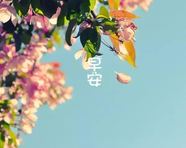 绿色经典精盛青稞酒 第211页