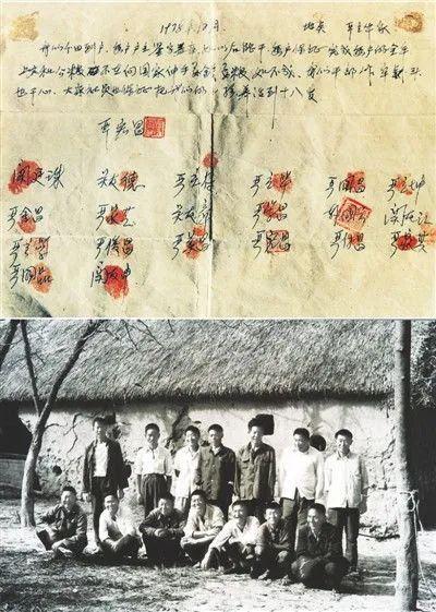 最新土地改革政策深度解读与个人观点分析