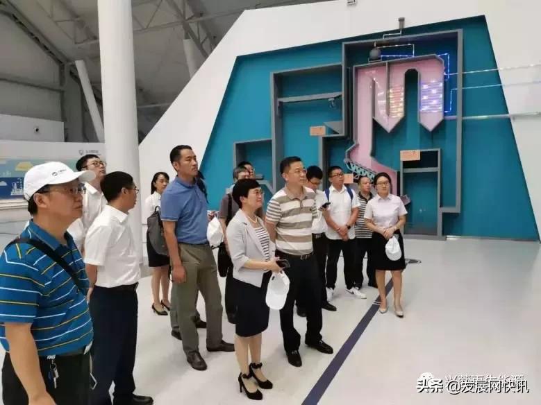 兴蓉环境股票动态解析，市场走势分析与展望