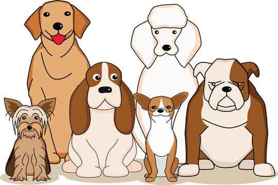 狗狗动漫图片集锦，萌犬动画瞬间🐾