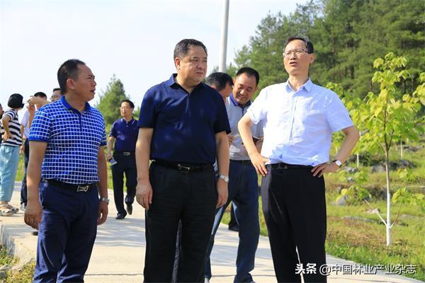 湖北许克振最新动态揭秘，探索自然美景之旅，寻找内心平和之地。