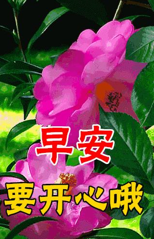 最新动态，深度论述某某观点