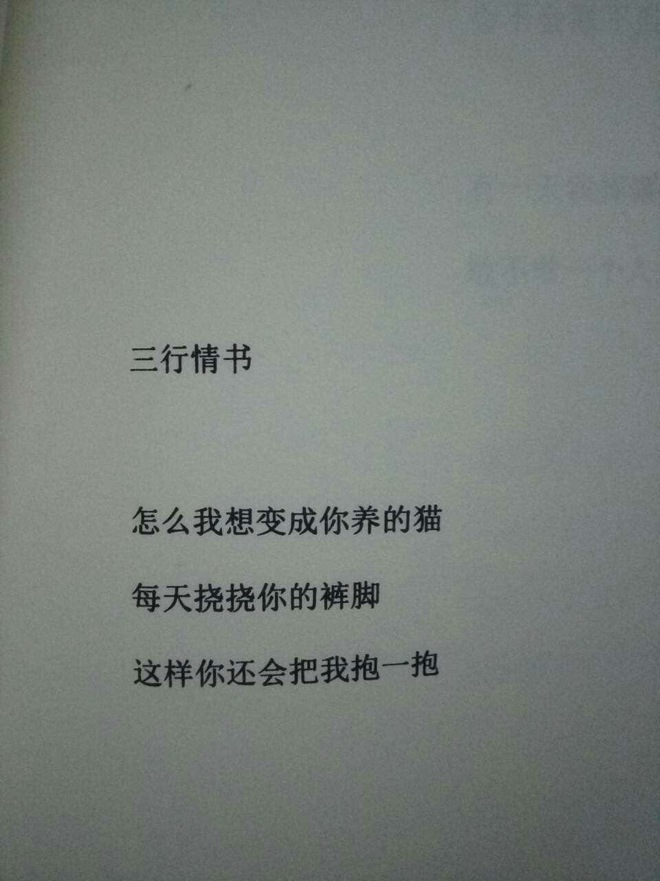 经典三行情书集锦，爱的日常故事，情感真挚表达
