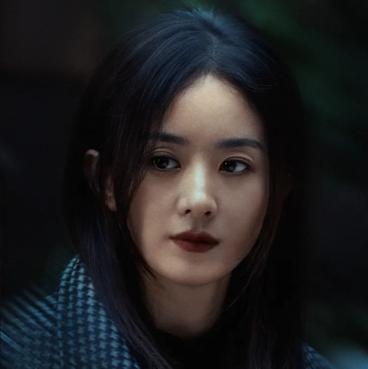 赵丽颖最新电影作品揭秘，多维度视角下的观点碰撞