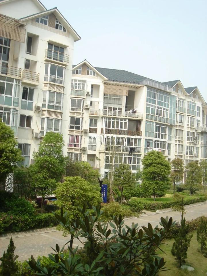 长沙房价最新动态，家的故事与温情纽带，楼市趋势解析