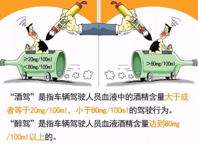 醉驾最新量刑标准与小巷独特风味探秘
