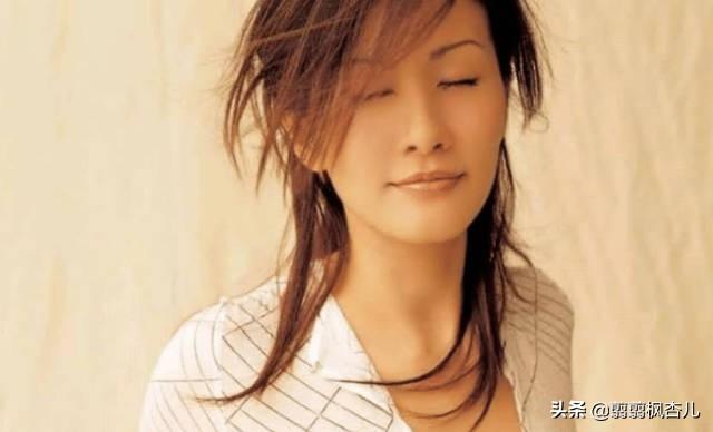 胡杏儿最新电视剧，时代之光下的璀璨篇章