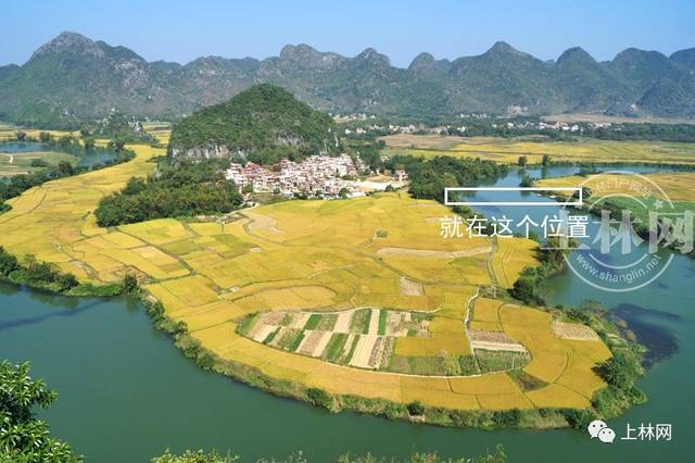 上林新发展聚焦解读，最新头条带你了解要点
