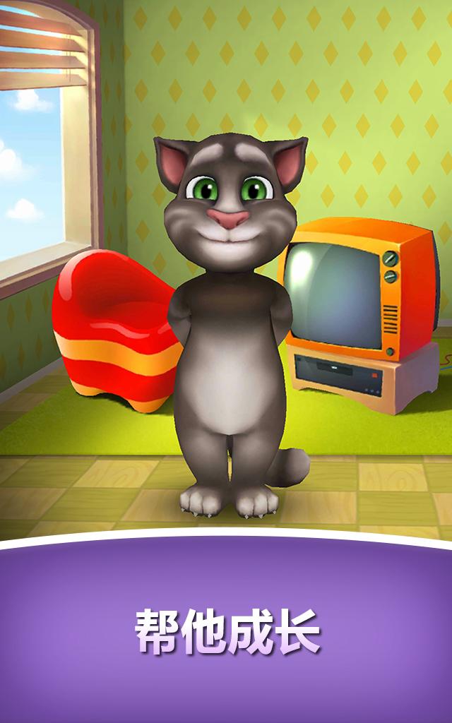 最新汤姆猫，时代宠儿与童年记忆的交融