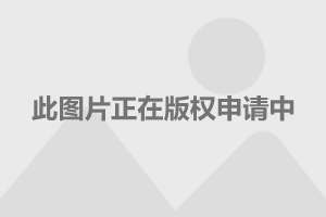 北野武最新电影，超越时代的力作，引领观影新潮流