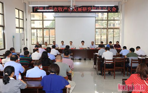 广西崇左市最新任免动态，深度解析与观点阐述