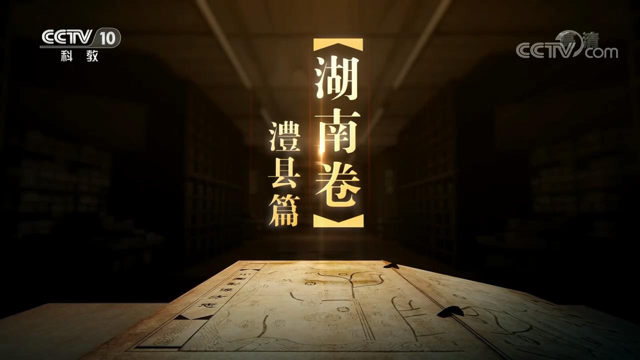 澧县最新视频观看与分享指南