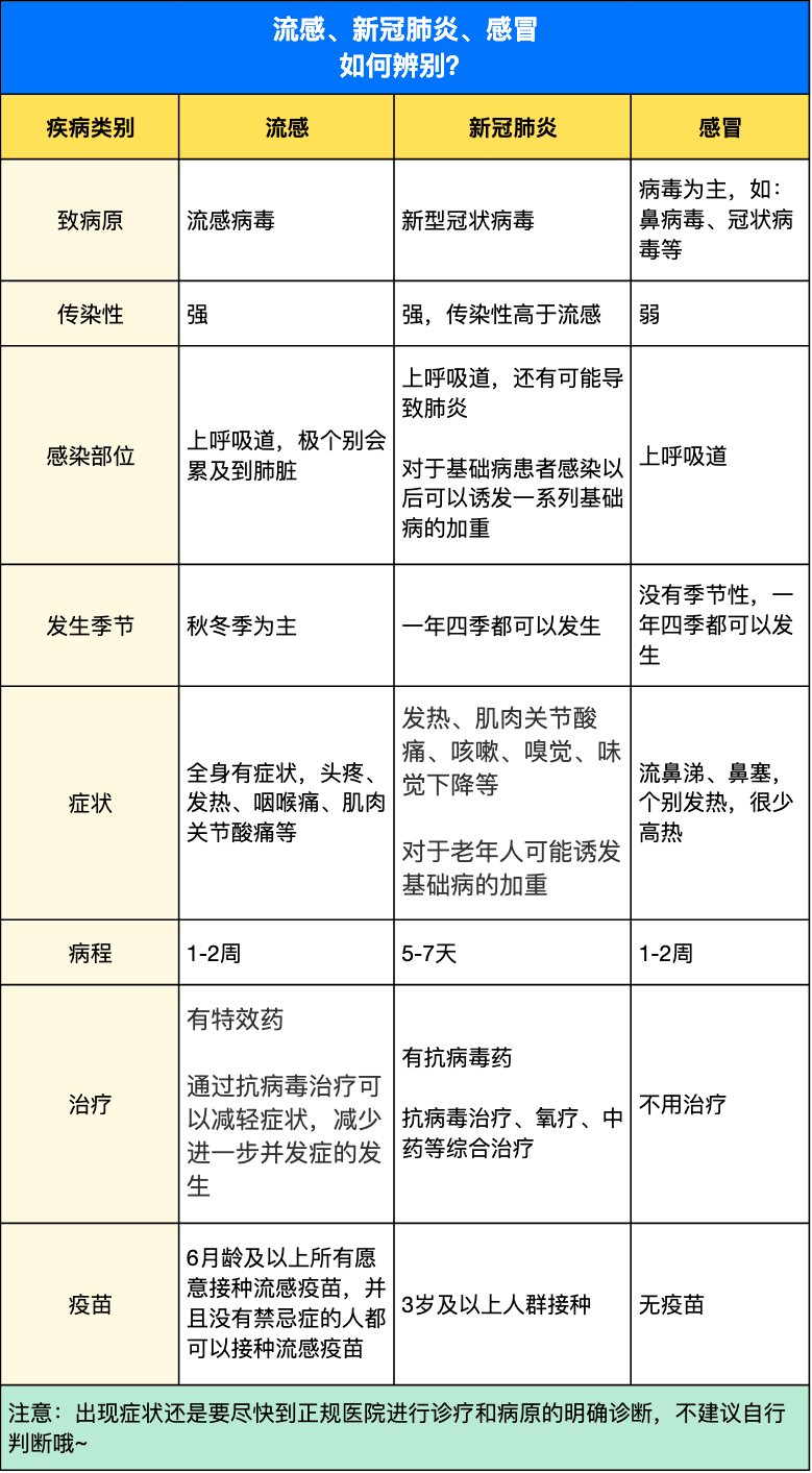 冠状流感最新动态，小巷深处的独特流感体验