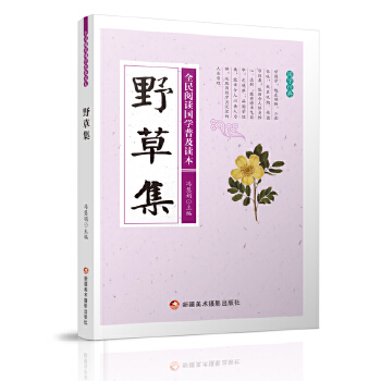 野草集最新篇章，独特视角探索自然之美