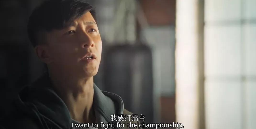 扑家最新，引领最前沿的时尚与生活潮流探索