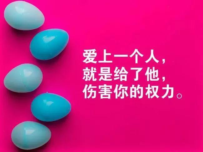 精彩音乐汇2025最新回顾，聆听时代之音