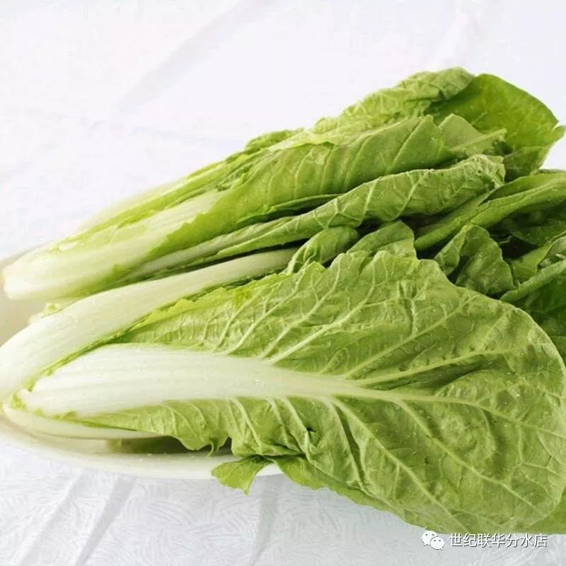 探索新鲜食材乐园，哪个平台售卖最新鲜的菜品？